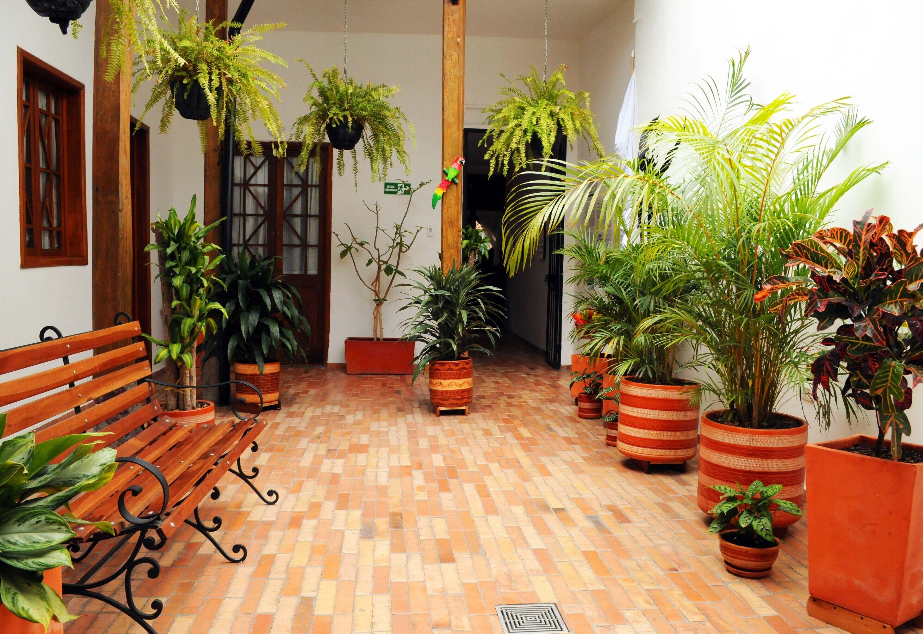 Arche Noah Boutique Hostel - Bogota, Bogota